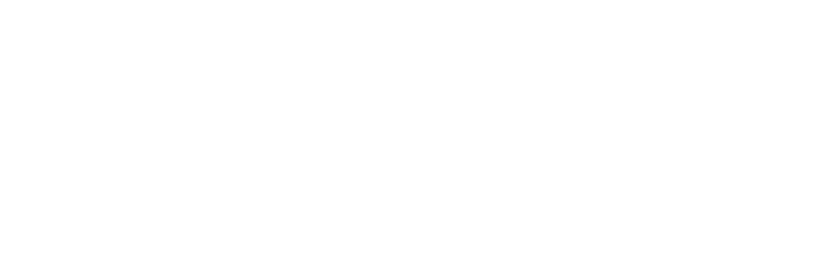 ELEMENTS mtb
